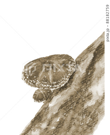 セピアトーンのほだ木で栽培された椎茸 トリミング【手描き水彩画】白バック 透過背景 88182759