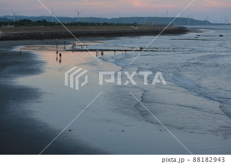 ビーチ 浜辺 渚 88182943