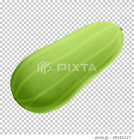 ウリ　イラスト素材 88183127