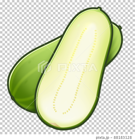 Uri 橫截面插圖素材 88183128