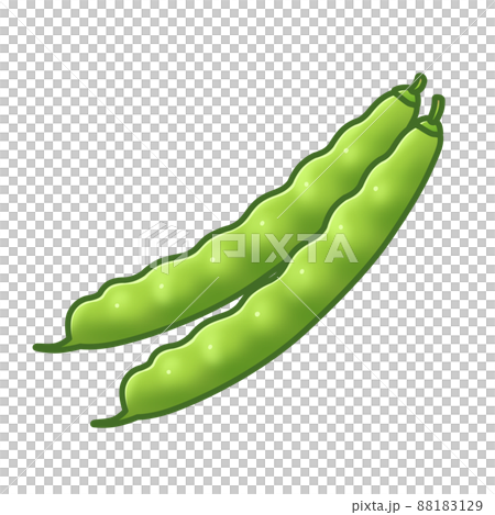 インゲン豆 イラスト素材のイラスト素材 1129