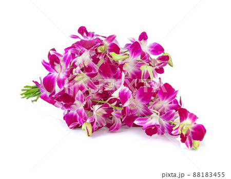 Red flowers or red orchids on a white background. Red flowers or red orchids on a white background. 88183455