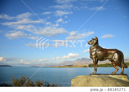 Sheep dog statue 88185271