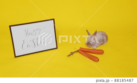 A beige rabbit jumps on a yellow background and sniffs carrots. Next to it is a frame with the inscription Happy Easter. Easter. 88185487