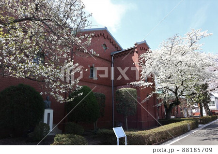 東京都北区　赤レンガ酒造工場　桜 88185709