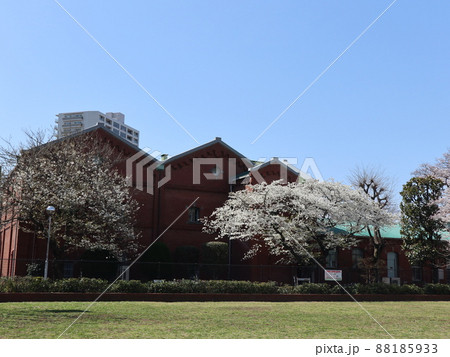 東京都北区　赤レンガ酒造工場　桜 88185933