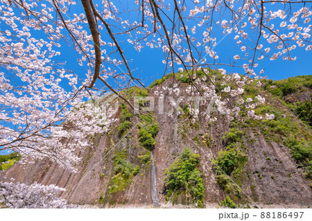 春の古座川 春の古座川 88186497