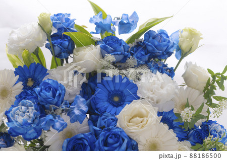 白い花 青い花 白い花 青い花 88186500