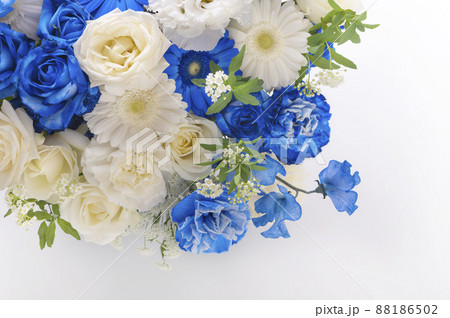 白い花 青い花 白い花 青い花 88186502