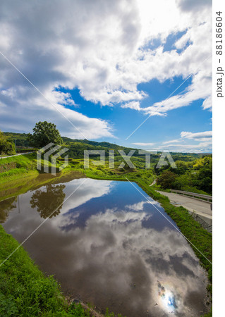 大分県別府市内成の水田 88186604