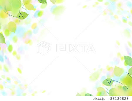 輝く若葉　背景素材 88186823