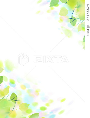 輝く若葉 背景素材 輝く若葉 背景素材 88186824