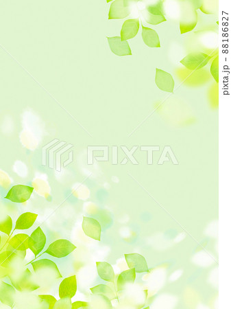 輝く若葉 背景素材 輝く若葉 背景素材 88186827
