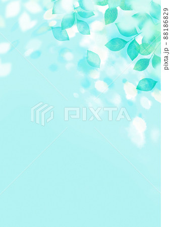 輝く若葉　背景素材 88186829