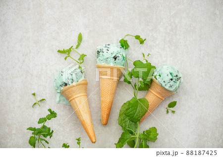 Mint Choc Chip Ice Cream 88187425