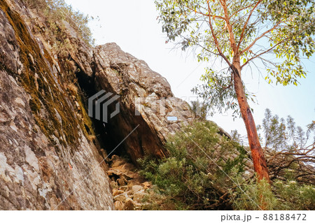 Sugarloaf Peak Hike near Marysville in Australia 88188472