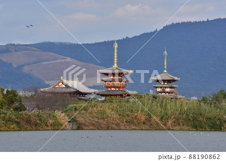勝間田池の冬の風景 88190862
