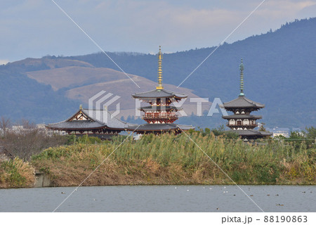 勝間田池の冬の風景 88190863
