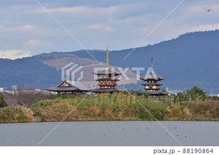 勝間田池の冬の風景 88190864