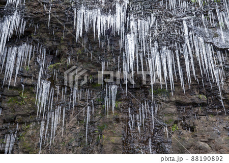 赤目四十八滝、厳寒の風景-5 88190892