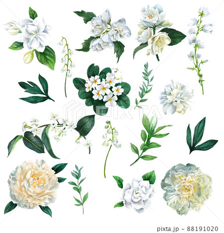 Set of lush spring flowers including peonies 88191020