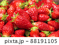 たくさんのイチゴ 88191105