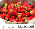 ボウルに入ったイチゴ 88191106