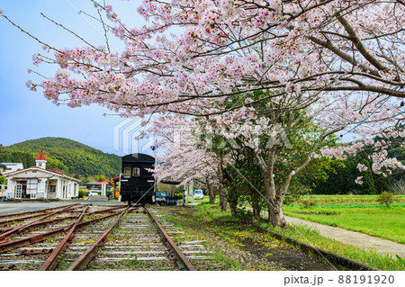 桜と永野鉄道記念館 88191920