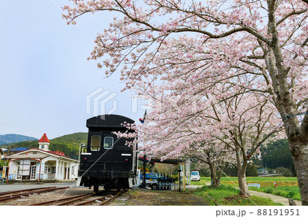 桜と永野鉄道記念館 88191951
