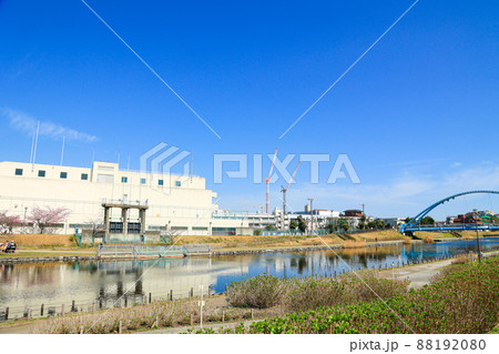 【東京都江戸川区】ふれあい橋と旧中川河川敷の風景 88192080