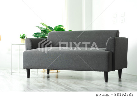 Close up sofa in living room mockup with green tree leaf. 88192535