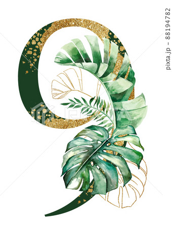 Golden number 9 decorated with green and golden tropical leaves Watercolor isolated illustration Golden number 9 decorated with green and golden tropical leaves Watercolor isolated illustration 88194782