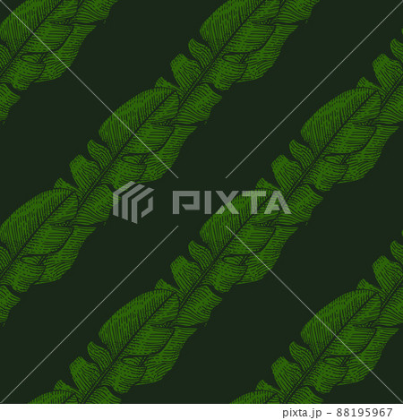 Banana leaves seamless pattern.Vintage tropical branch in engraving style. 88195967