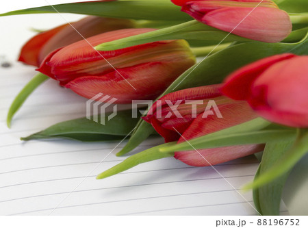 red tulips and notebook paper background. Copy space, greeting card postcard banner cover mockup, for your design horizontal 88196752