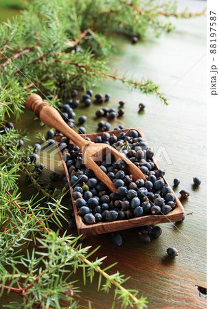 Wooden bowl with seeds of juniper. 88197587