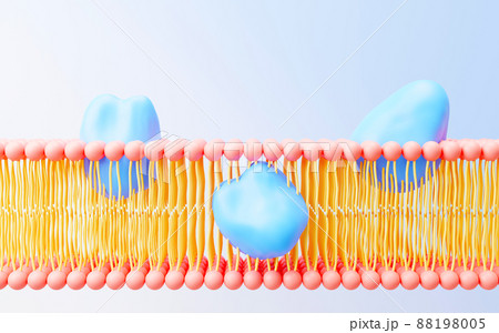3d render cell membrane Phospholipid Bilayer. Layers of molecules. Gene expression. nucleotide database. Fluid mosaic model for education. Human gene. Plasma membrane structures. 3d render cell membrane Phospholipid Bilayer. Layers of molecules. Gene expression. nucleotide database. Fluid mosaic model for education. Human gene. Plasma membrane structures. 88198005