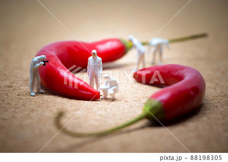 Team of criminalists inspecting red chili peppers Team of criminalists inspecting red chili peppers 88198305