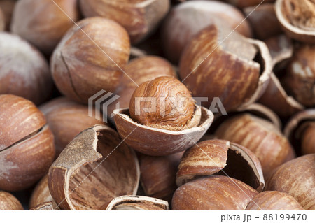 hazelnuts peeled from the shell hazelnuts peeled from the shell 88199470