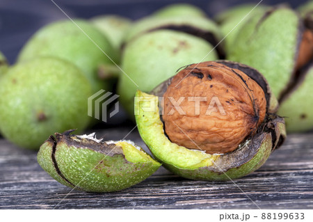 walnuts harvested and preparing it for drying walnuts harvested and preparing it for drying 88199633