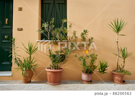 Plants in pots on near a textured wall with a window, Greece. 88200562