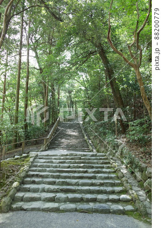 多賀宮への石段_伊勢神宮 多賀宮への石段_伊勢神宮 88200779