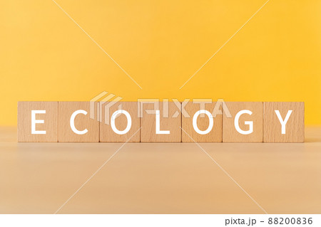 エコロジーのイメージ|「ECOLOGY」と書かれた積み木 エコロジーのイメージ|「ECOLOGY」と書かれた積み木 88200836