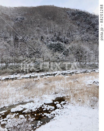 雪の風景 雪の風景 88201288