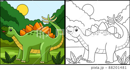 Stegosaurus Dinosaur Coloring Page Illustration 88201481