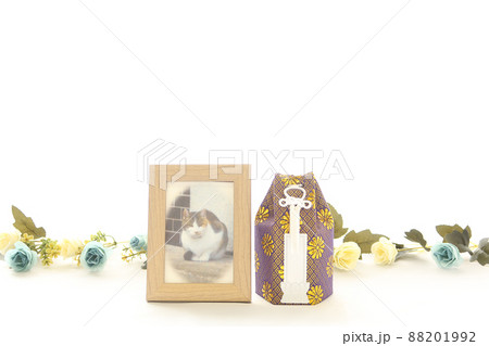 窓辺に飾られた手元供養用のペットの骨壺1 88201992