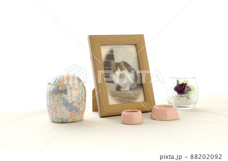 窓辺に飾られた手元供養用のペットの写真と骨壺17 窓辺に飾られた手元供養用のペットの写真と骨壺17 88202092