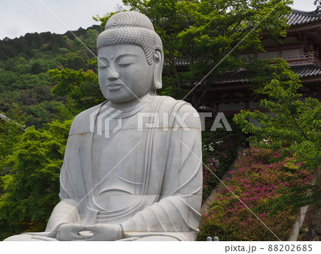 壷阪寺の大仏様 88202685