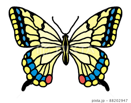 アゲハチョウ アゲハチョウ 88202947