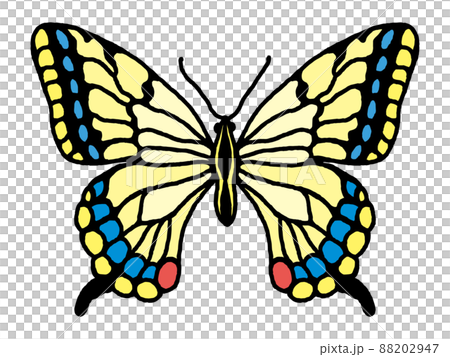 アゲハチョウ アゲハチョウ 88202947