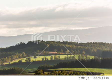 9月の北海道美瑛、夜明けの朝霧・日本 9月の北海道美瑛、夜明けの朝霧・日本 88203140
